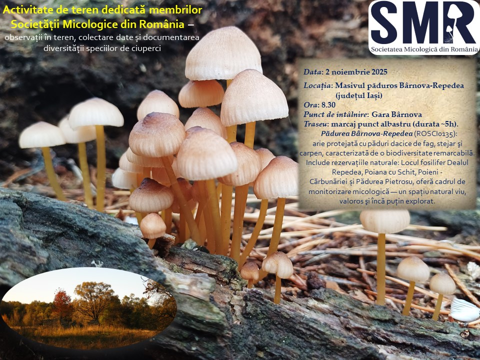 Activitate de teren – Monitorizarea diversității fungice în masivul păduros Bârnova-Repedea, Iași